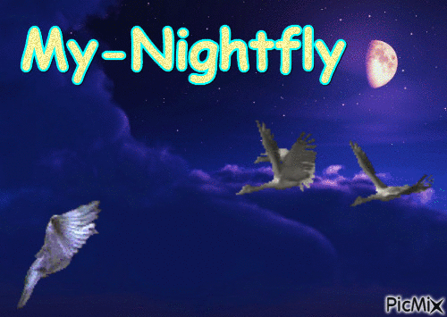 Nightfly - Ingyenes animált GIF
