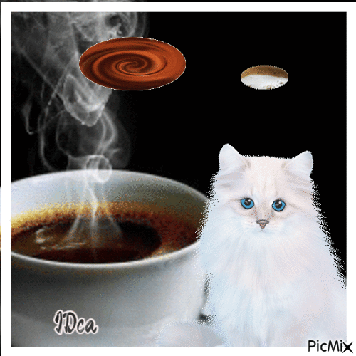Café cappuccino chocolat  chat - GIF animé gratuit