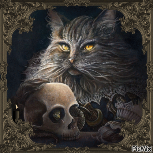 Gothic Cat fantasy. - GIF animado grátis