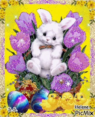 Rabbit rest on flowers. - Free animated GIF