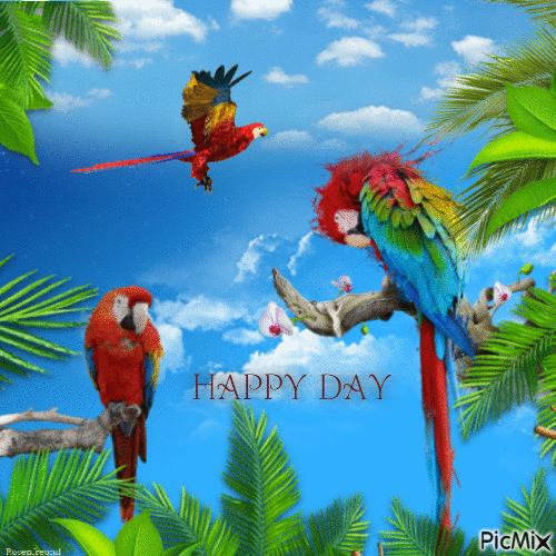Happy Day - Gratis animerad GIF