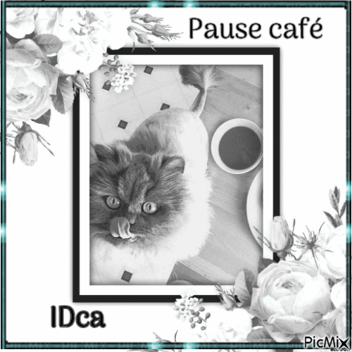 Pause café du chat - Bezmaksas animēts GIF