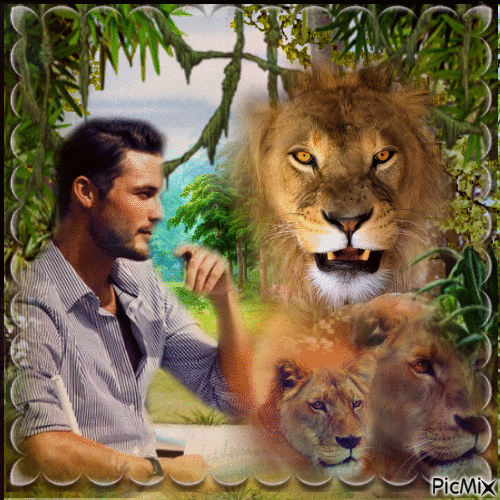 homme et les lions - Darmowy animowany GIF