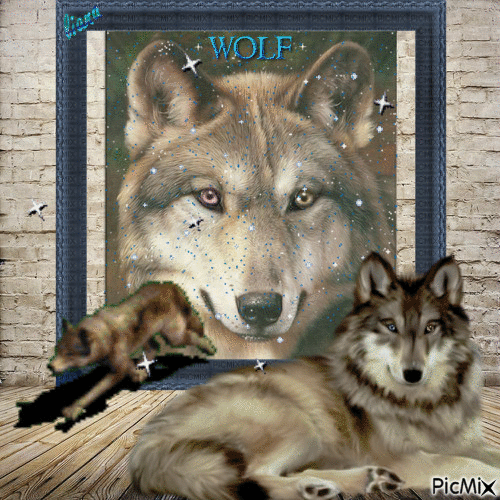 portrait of wolves - Darmowy animowany GIF