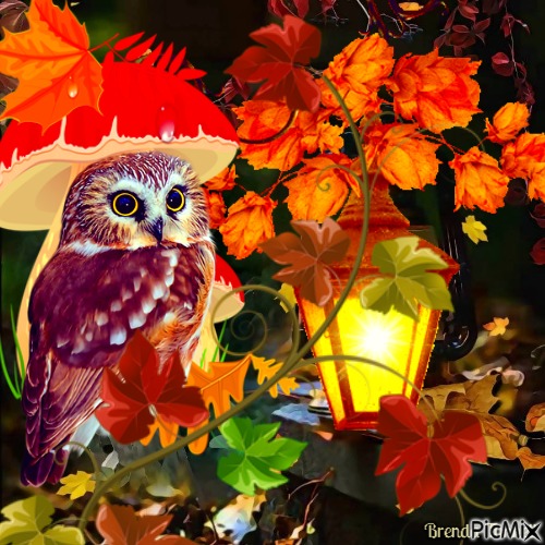 autumn owl - 無料png