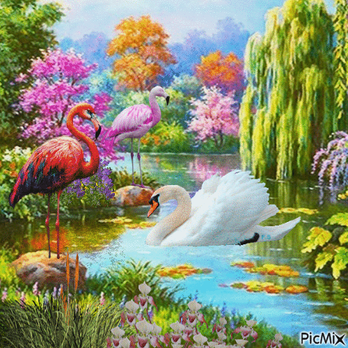 How beautiful is this world! - GIF animate gratis