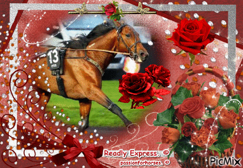 Le champion Readly Express. © - Бесплатный анимированный гифка