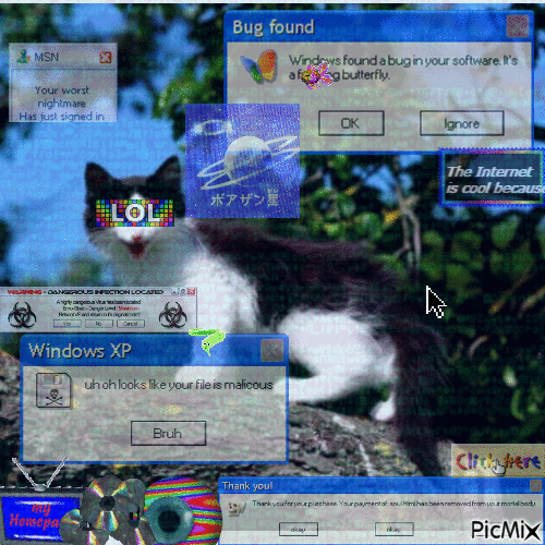 webcore wild kitty - Free animated GIF