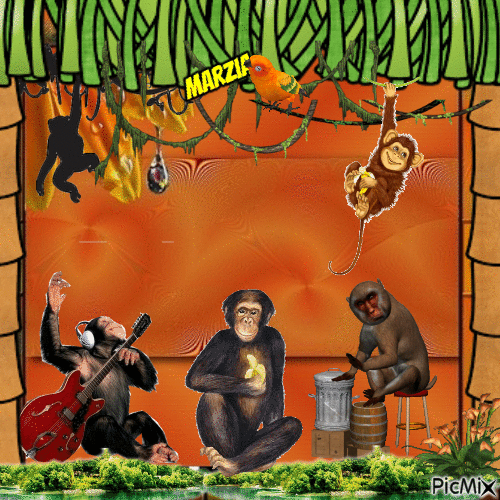 scimmie - Ingyenes animált GIF