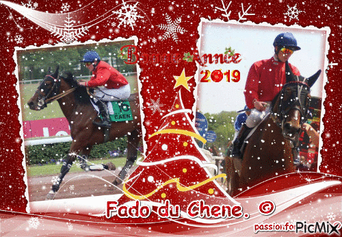 Le champion Fado du Chene. © - Δωρεάν κινούμενο GIF