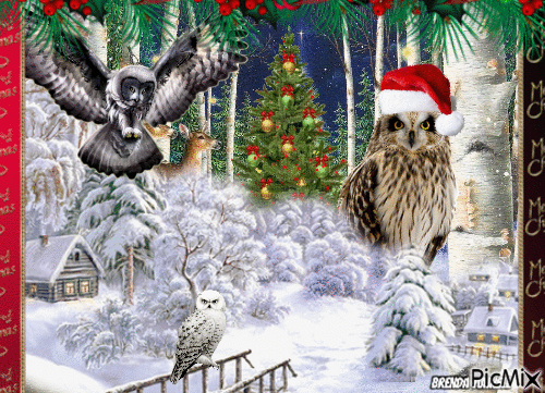 Christmas owl - GIF animate gratis
