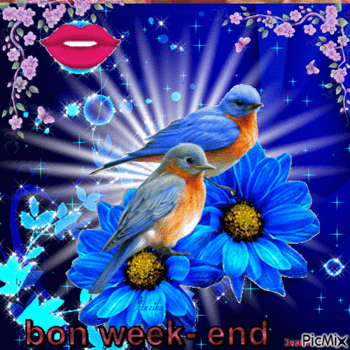 bon week end - Zdarma animovaný GIF
