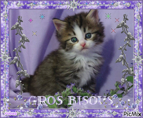Gros bisous - Free animated GIF