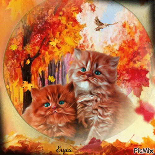 Chats d'automne - Free animated GIF