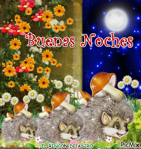 BUENAS NOCHES - Free animated GIF