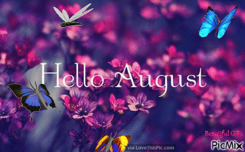 Hello August - Gratis animerad GIF