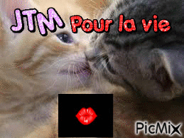 Jtm pour la vie - Bezmaksas animēts GIF