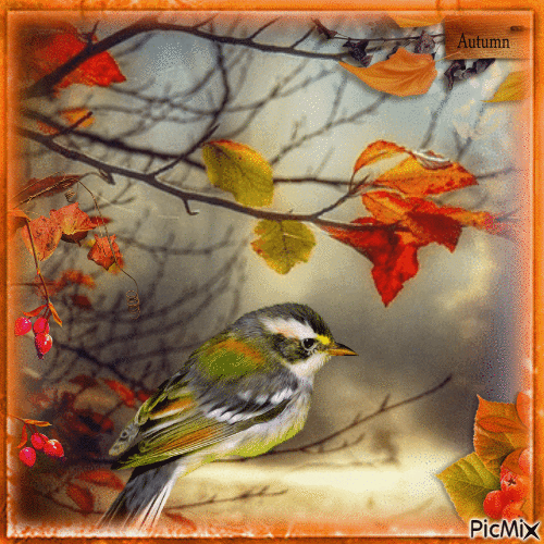 Autumn bird - Animovaný GIF zadarmo