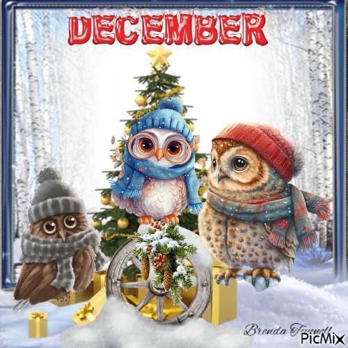 December owl - nemokama png