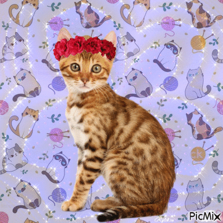 chat avec couronne de fleurs - Бесплатни анимирани ГИФ