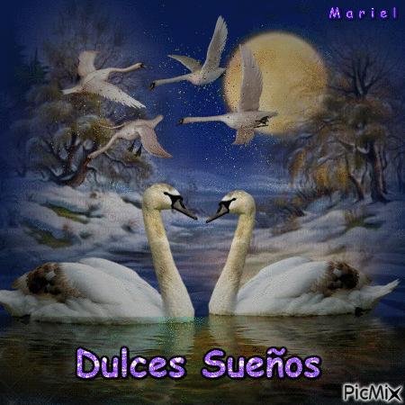 DULCES SUEÑOS*MARIEL - 免费动画 GIF