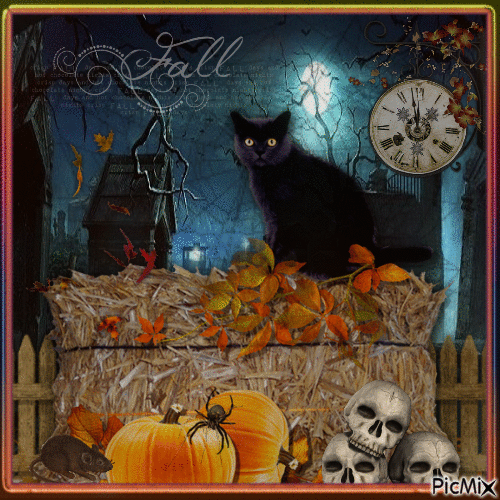 eerie fall black cat - Безплатен анимиран GIF