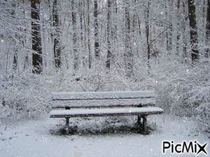 Snowy Bench - Zdarma animovaný GIF