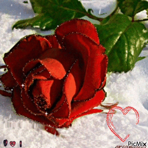 Kocham róże - Безплатен анимиран GIF