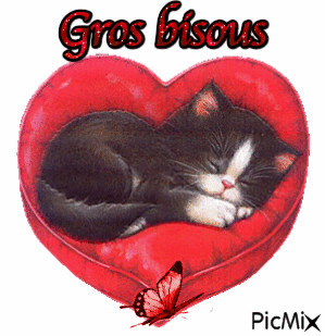 gros bisous chaton - GIF animé gratuit - PicMix