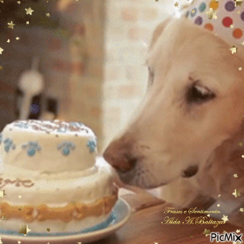Aniversário de cão - Nemokamas animacinis gif