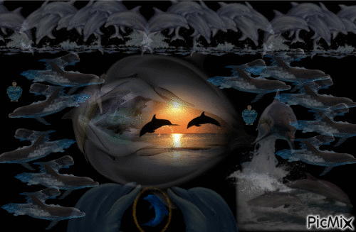 montage 7/15 dauphin - GIF animate gratis