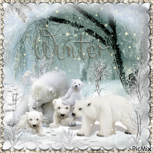 Конкурс--  Famille d'ours blancs. - Free animated GIF