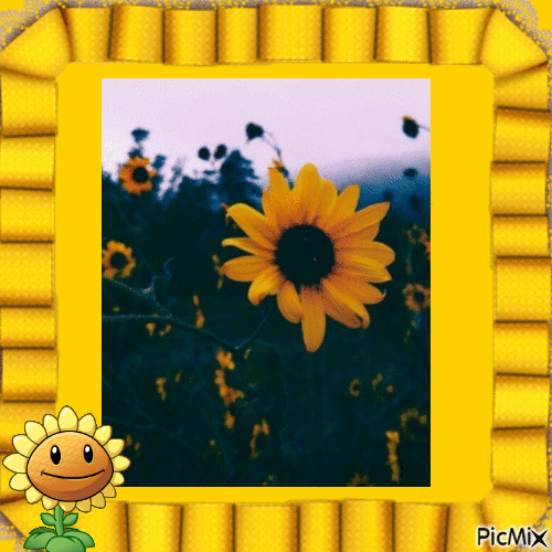 Sunflower - GIF animate gratis