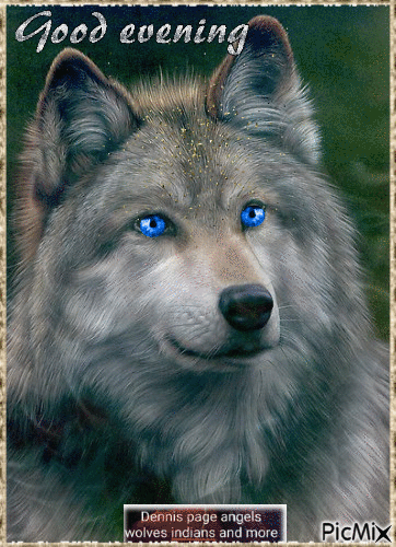 WOLF WITH BLUE EYES GIF - Бесплатный анимированный гифка