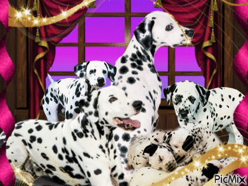dalmatian - Ücretsiz animasyonlu GIF