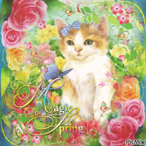 Spring cat - 免费动画 GIF