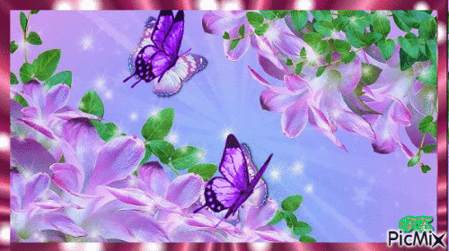 Lila pillangós virágok! - Zdarma animovaný GIF