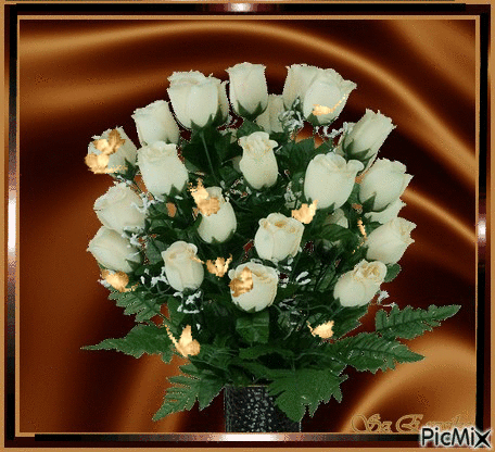 fehér rózsa szép pillangók - Zdarma animovaný GIF