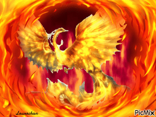 Phoenix - Laurachan - Бесплатный анимированный гифка