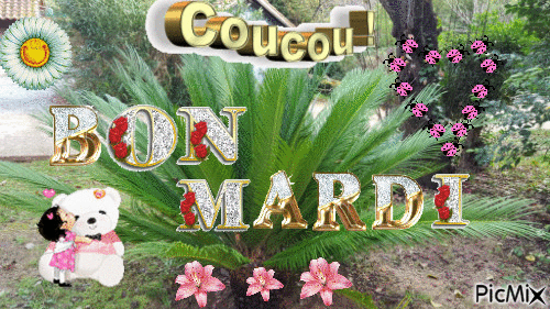 BON MARDI - Darmowy animowany GIF