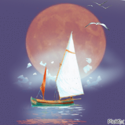 Sailboat by the moonlight - GIF animate gratis