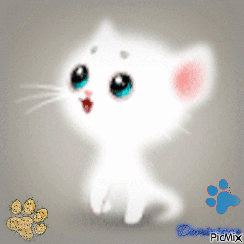 chaton blanc - GIF animasi gratis