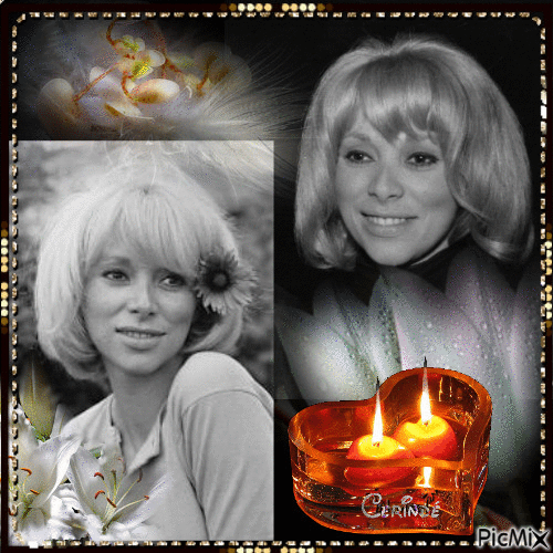 Hommage a Mireille Darc - Free animated GIF