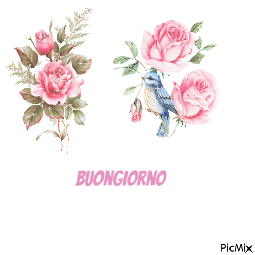 Buongiorno 😃 - Бесплатный анимированный гифка