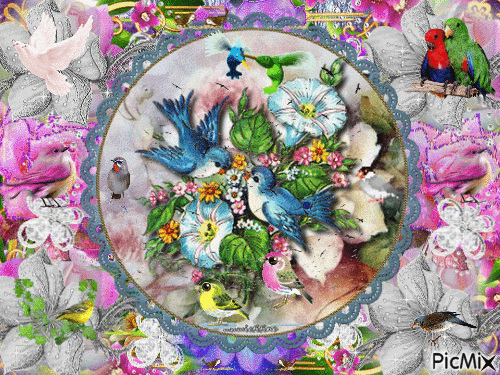 PINK AND WHITE FLOWERS, A CITCLE OF BIRDS AND FLOWERS AND BIRDS FLYING AND HOPPING. - Gratis animeret GIF
