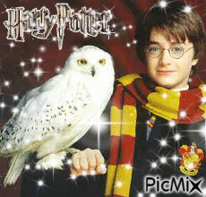 Harry Potter et Hedwige <3 - Nemokamas animacinis gif
