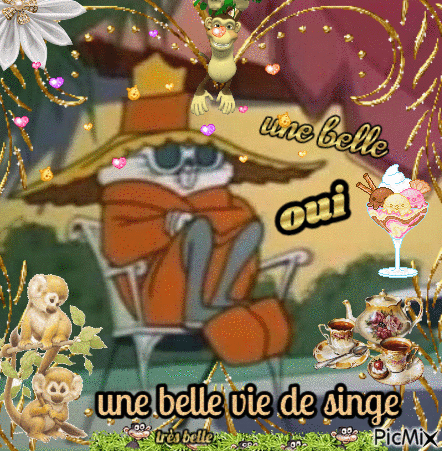belle vie de singe - Zdarma animovaný GIF
