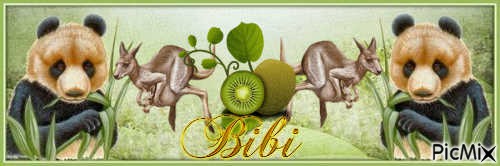 Bannière de Bibi-Australia - png ฟรี