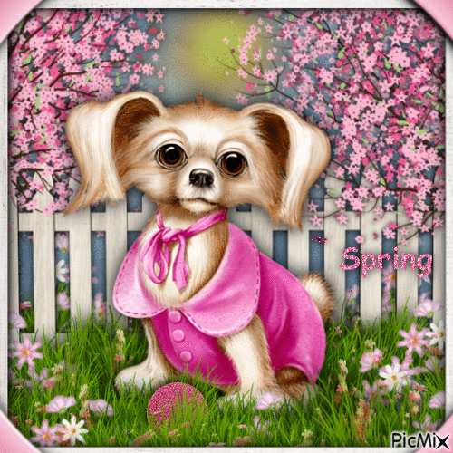 Spring with a Dog-RM-02-16-24 - GIF animado gratis