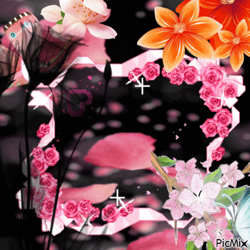 Les petales de roses - Besplatni animirani GIF